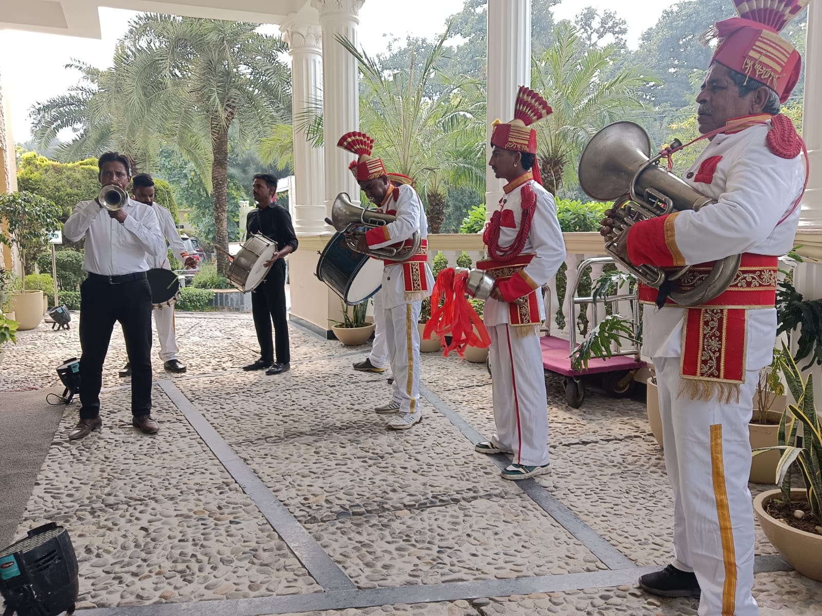 Shehnai Tasha
