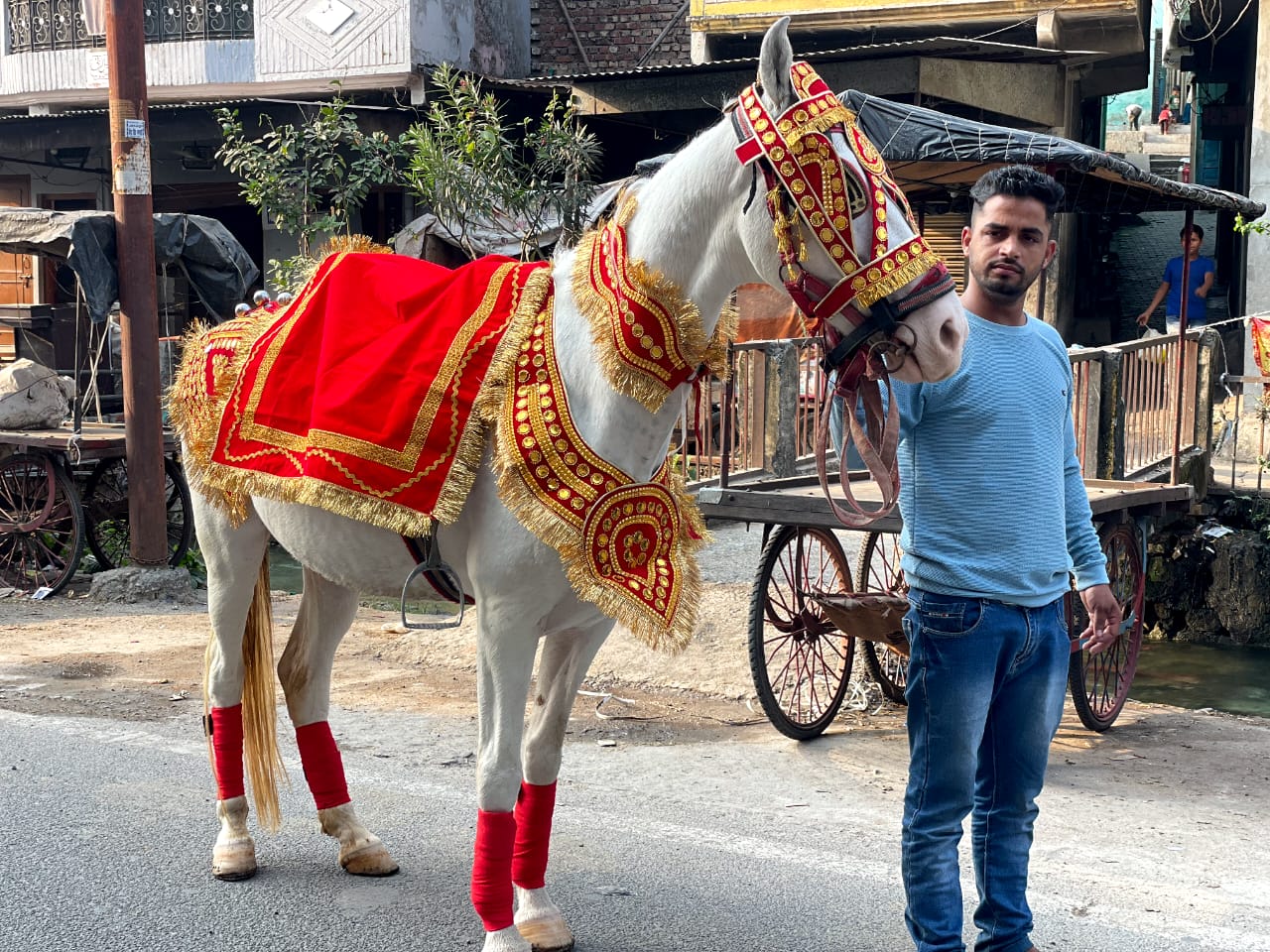 White Ghori